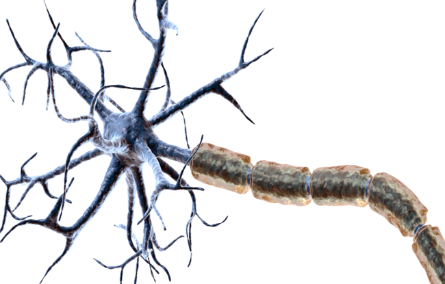 machine learning deep learning